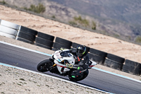 Bike_81